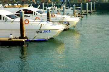 DSC_0206.JPG