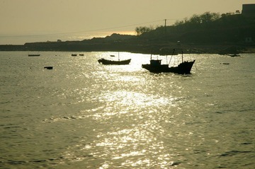 DSC_0213.JPG