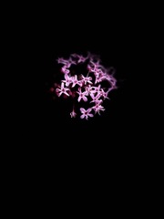 5735867E-73D0-4192-864D-A49FAD515479/L0/001