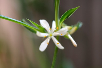 P5230262