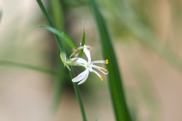 P5230272