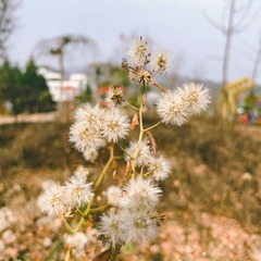 40427425-DF0F-41A6-85BD-77803BDF01C0/L0/001