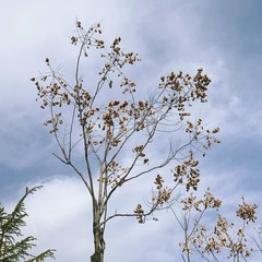 C1E70EB8-49C1-4340-8C2A-8D0F4520D063/L0/001