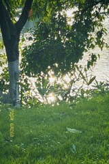 0FB59677-24C9-432F-8FF1-29962C318F9D/L0/001