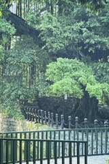 B3ED3D3D-CF61-4907-8783-C6D15AB42974/L0/001