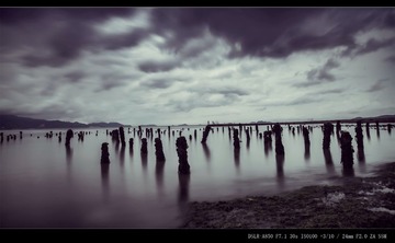 “DSC01460”为智能对象-1-x