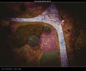 DJI_0010_