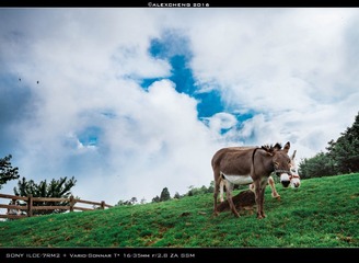 DSC05195_