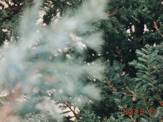 29E12E9C-04F9-44E7-A734-73EE1CC02E06/L0/001
