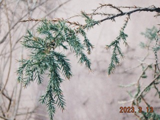 D755CA93-7663-407D-B1AC-F051AA6B38DC/L0/001