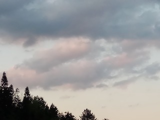 118742