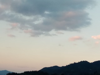 118721