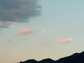 118713