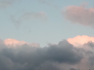 118761