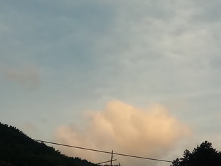 138521