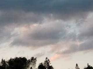 118717