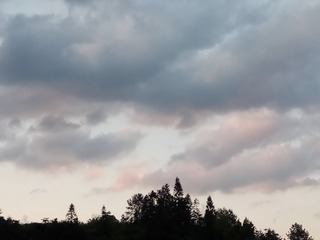 118735