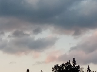 118734