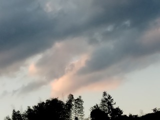118704