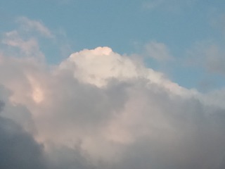 118733