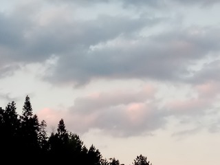 118751