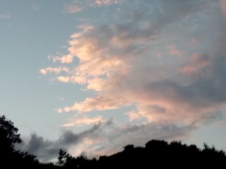 115176