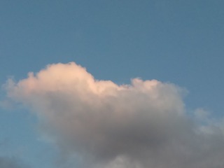 118706