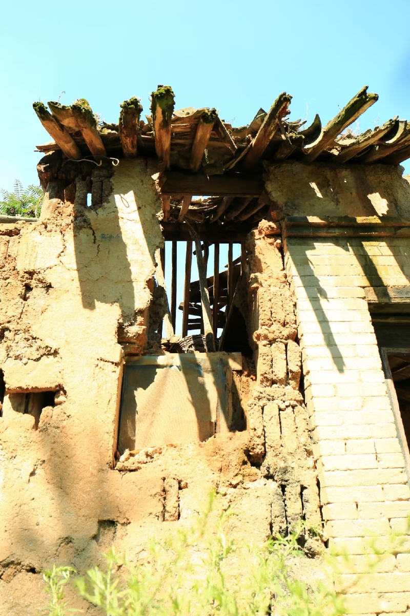 致唐村61残垣断壁那阳光是崭新的那房屋是老旧的那绿叶是清新的那光