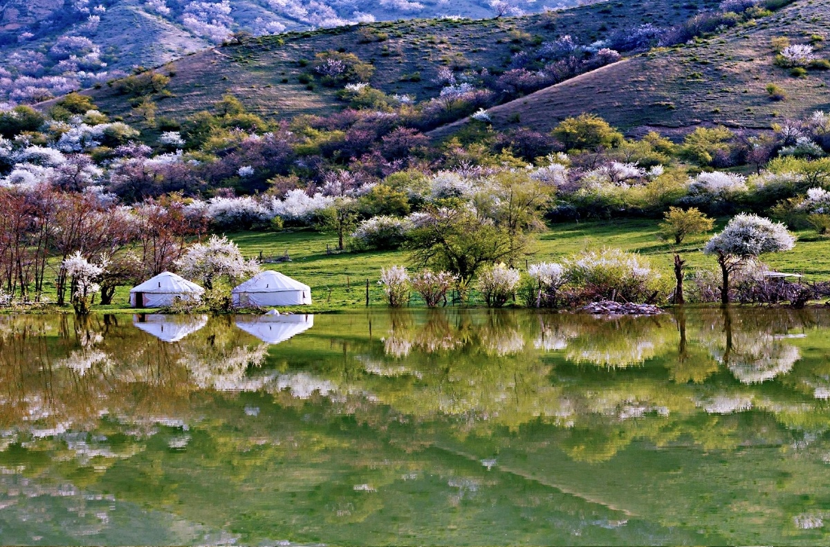 山花水影