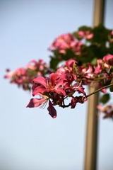 A7F38694-1B5C-4EF3-9725-E78FF19EDF37/L0/001