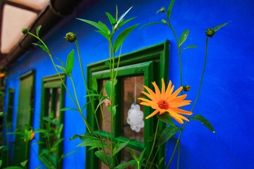 _MG_3156.JPG
