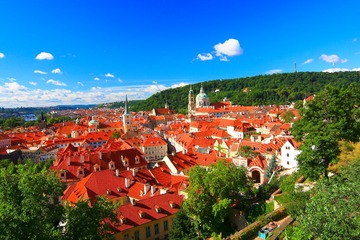 _MG_3835.JPG