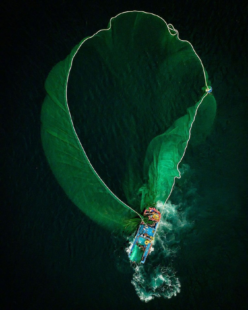 辛勤劳作中的渔民,渔网形似树叶,形似爱心 - 摄影师162444941385537