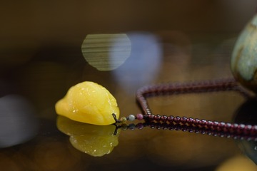 1395685