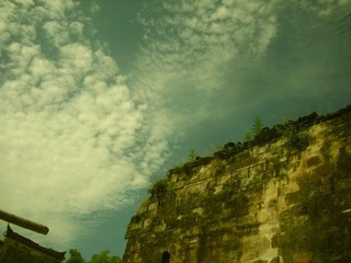 CIMG0800.JPG
