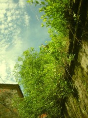 CIMG0808.JPG
