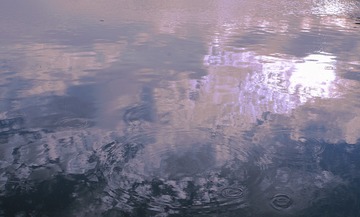 2413B242-D740-4439-B871-D3DF9B9A836C/L0/001