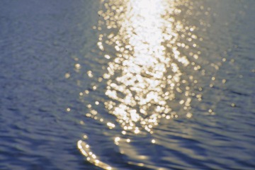 6A4413C1-0D9A-4C48-849E-93B567678B90/L0/001