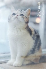 每日一喵0117.jpg