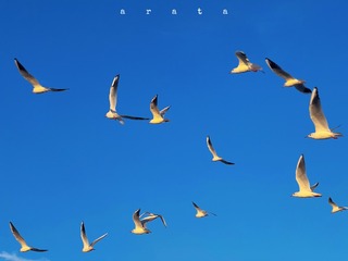 66B9913D-1A0B-4FDF-8FD2-759620B03D39/L0/001