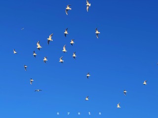 87371986-4AE2-487B-A735-16C8CA7500A5/L0/001