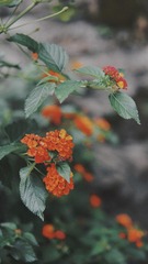 D21BABF7-F609-477B-BF78-E0BF609CB851/L0/001