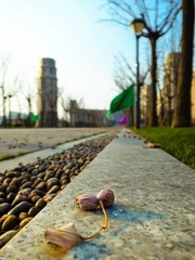 20120125-R0012584.jpg