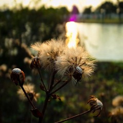 20120125-R0012612.jpg