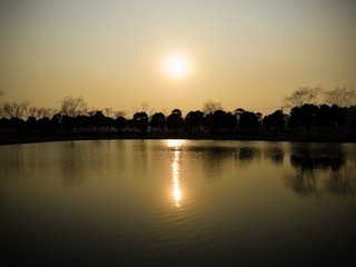 20120125-R0012616.jpg