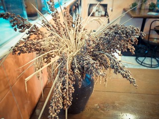 20120122-R0012294.jpg