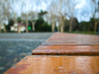 20120124-R0012450.jpg