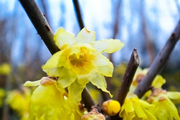 20120124-R0012499.jpg