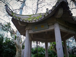 20120124-R0012502.jpg