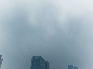 20120210-R0013036.jpg
